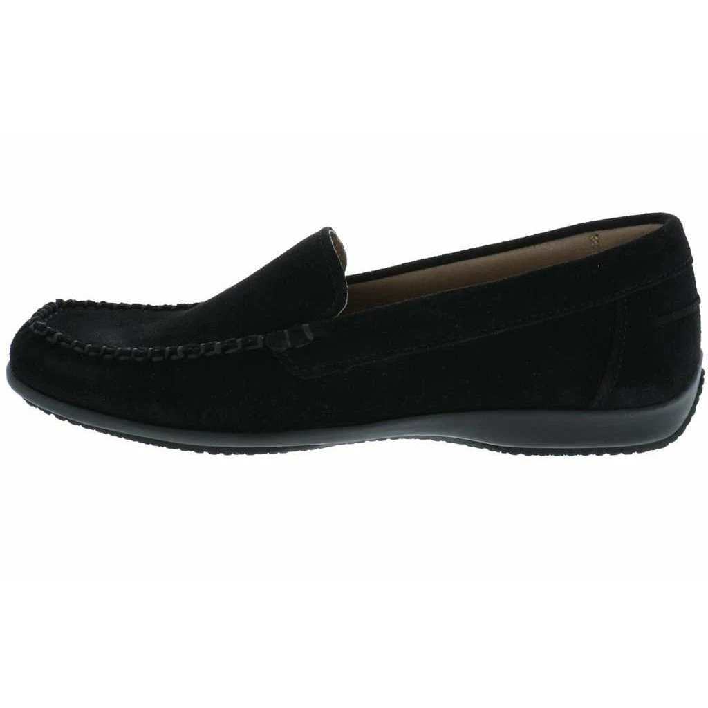 ARCOPDICO ALICE - Image 4