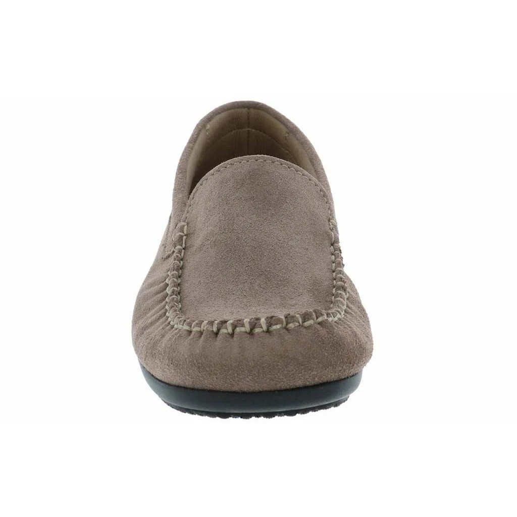 ARCOPDICO ALICE - Image 10