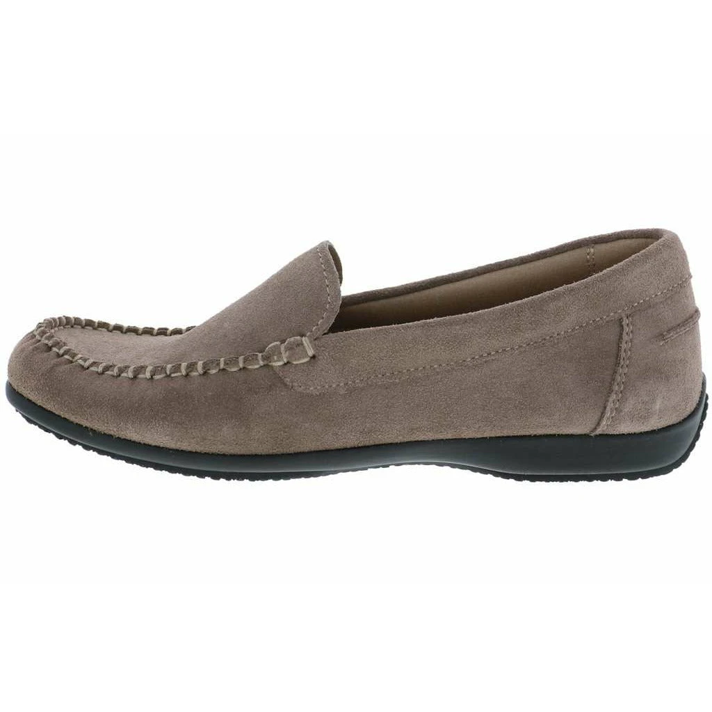 ARCOPDICO ALICE - Image 9