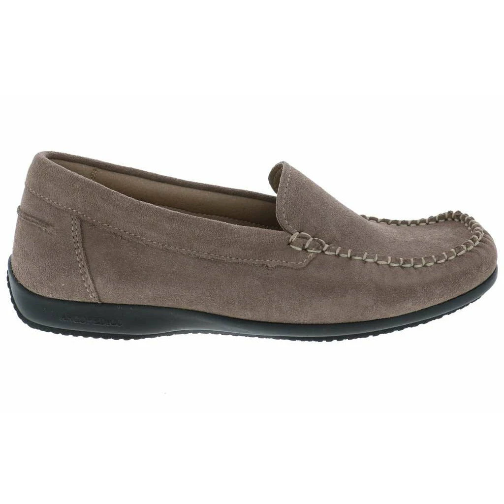 ARCOPDICO ALICE - Image 7