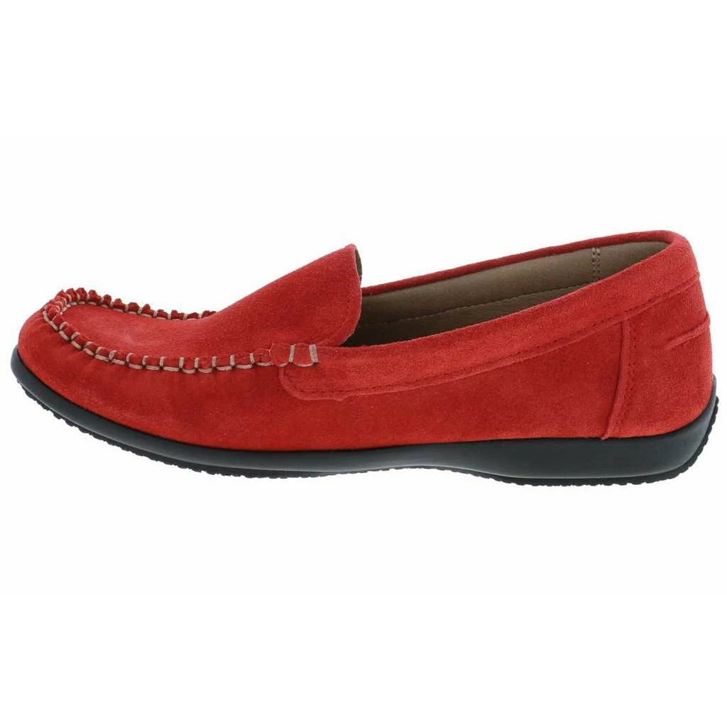 ARCOPDICO ALICE - Image 14