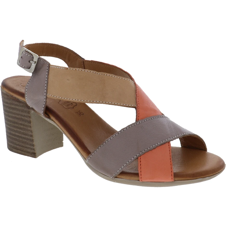 ANESHA AMINA - Image 5