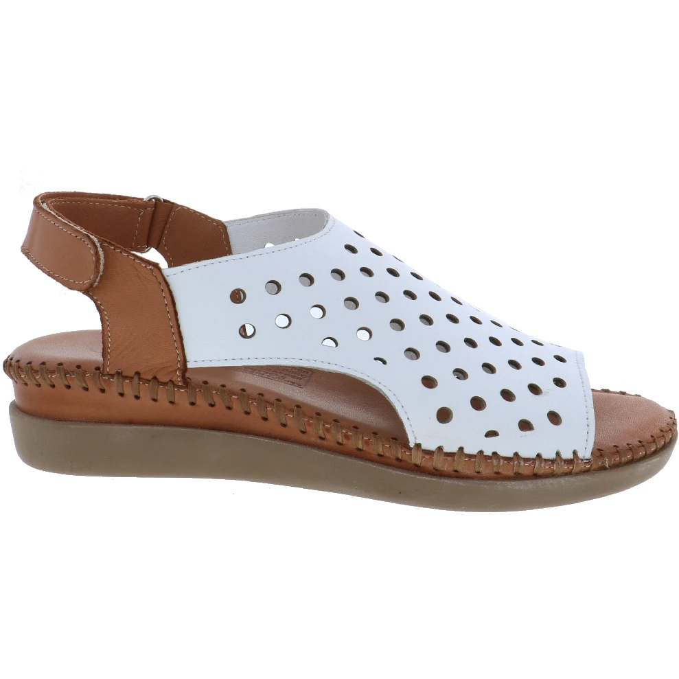 ANESHA WILLOW - Image 2